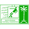 沙特阿拉伯U17联赛